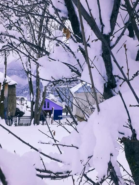 Shorena'S Homestay Tsvirmi Exterior photo